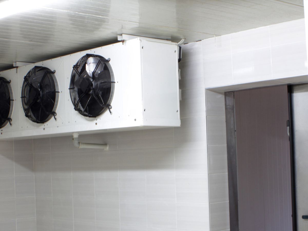 ampliacion de cuarto fria de la industria alimentaria